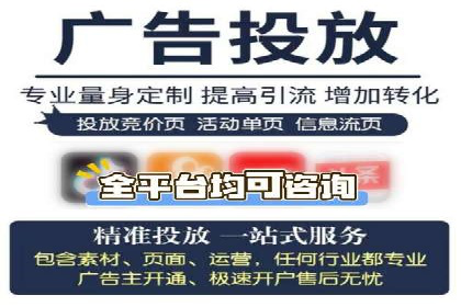 竞价排名优化策略案例分析